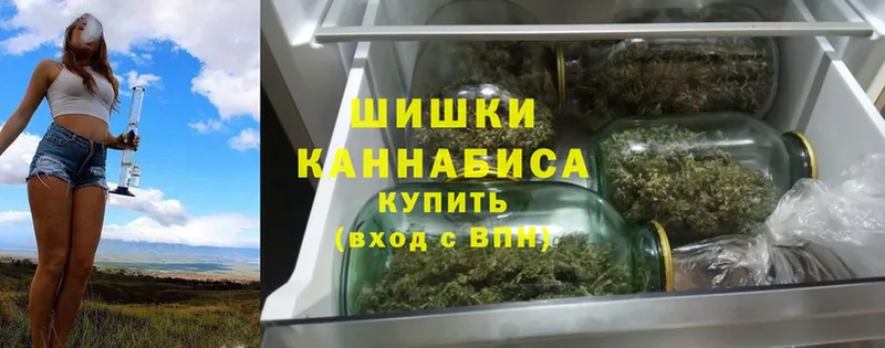 где найти наркотики  Горнозаводск  Марихуана SATIVA & INDICA 